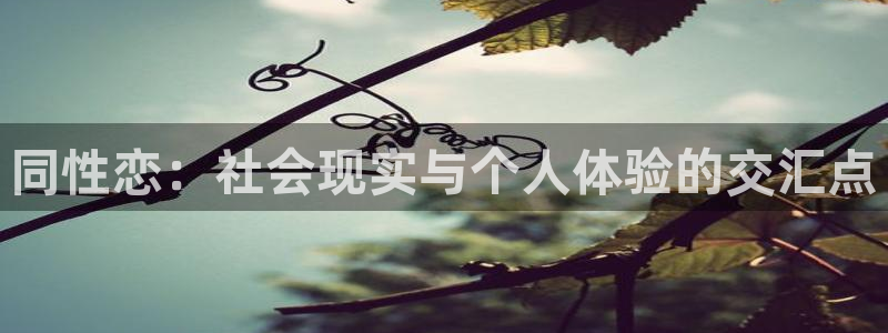 one游戏皇马官网：同性恋：社会现实与个人体验的交汇点