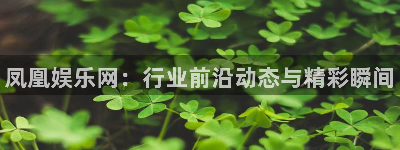 one游戏体育平台：凤凰娱乐网：行业前沿动态与精彩瞬间