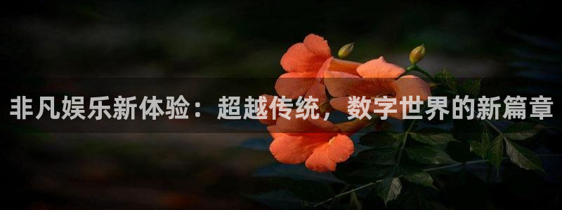 one游戏网站：非凡娱乐新体验：超越传统，数字世界的新篇章