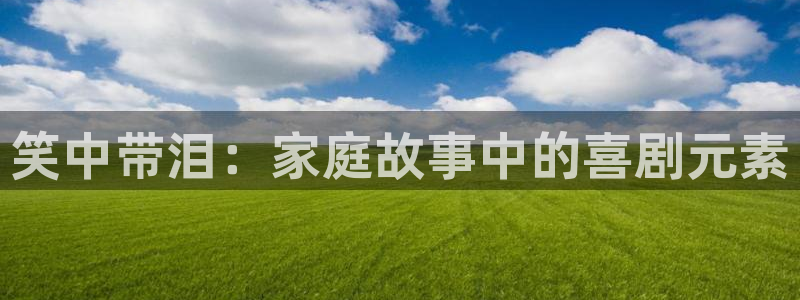one游戏：笑中带泪：家庭故事中的喜剧元素