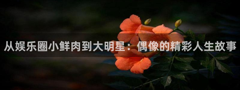 one游戏体育平台：从娱乐圈小鲜肉到大明星：偶像的精彩人生故事
