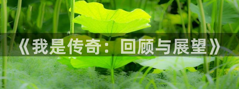 one游戏皇马官网：《我是传奇：回顾与展望》