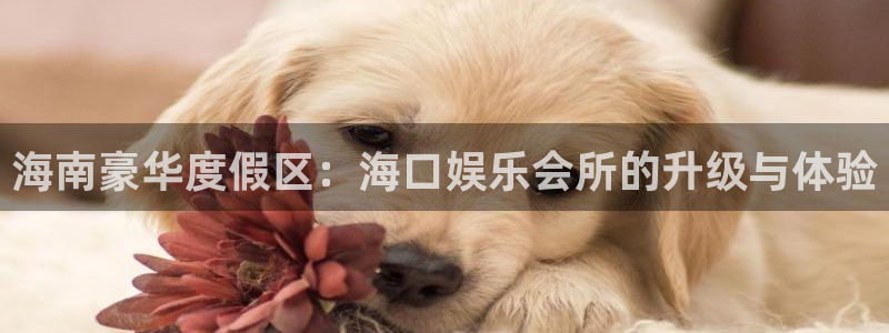 one游戏：海南豪华度假区：海口娱乐会所的升级与体验