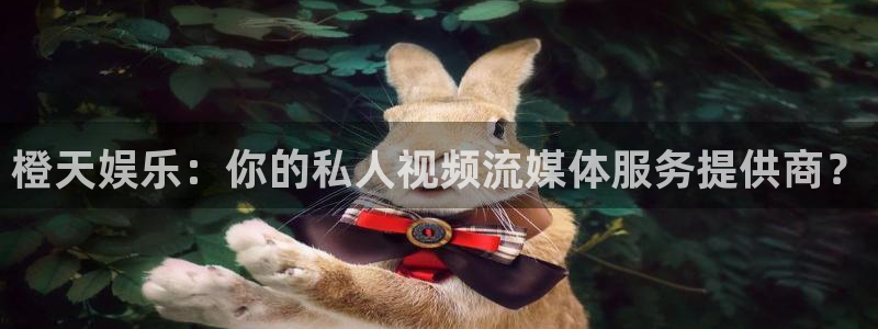 one游戏皇马官网：橙天娱乐：你的私人视频流媒体服务提供商？