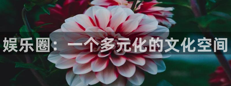 one游戏官网：娱乐圈：一个多元化的文化空间