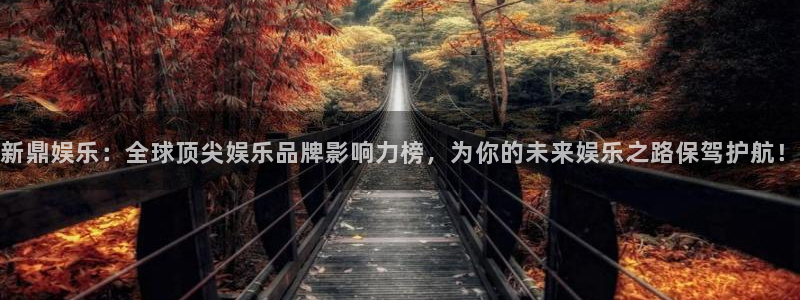 one游戏：新鼎娱乐：全球顶尖娱乐品牌影响力榜，为你的未来娱乐之路保驾护航！