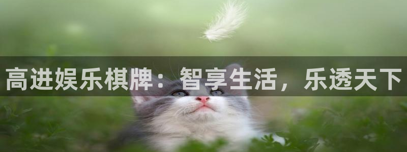 one游戏皇马官网：高进娱乐棋牌：智享生活，乐透天下