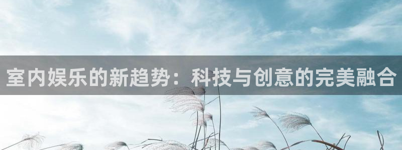 one游戏体育平台：室内娱乐的新趋势：科技与创意的完美融合